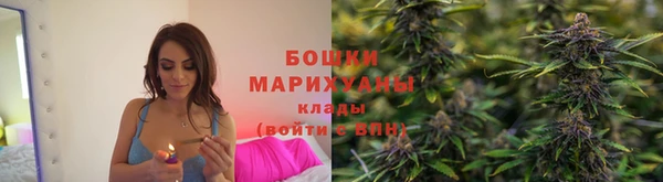 мдпв Горняк